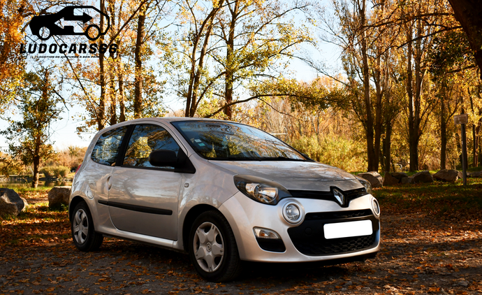 Twingo 2 gray