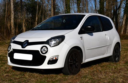 Twingo 2 blanche